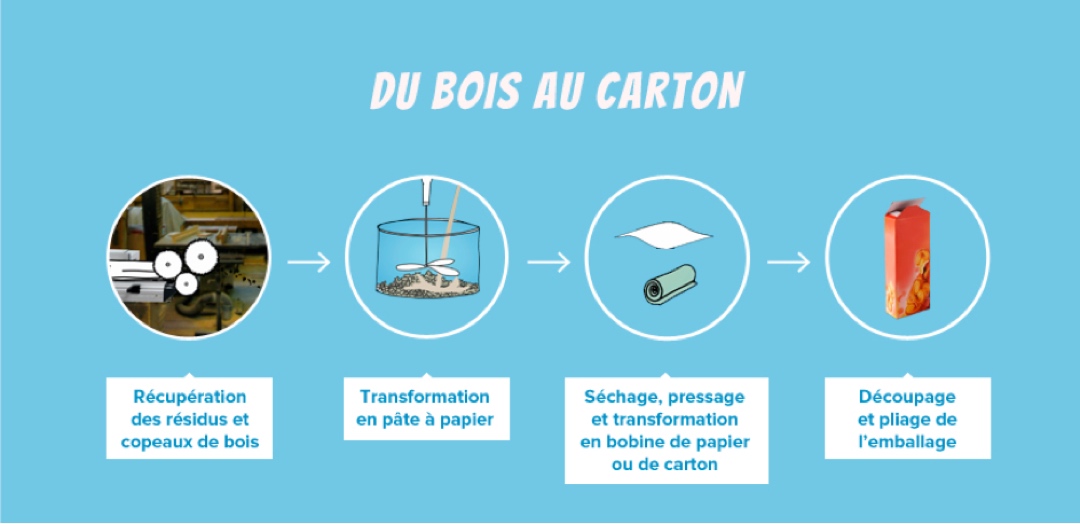 Le bois, matière première pour la fabrication du carton